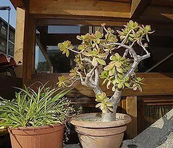 ホテル Il Castelletto ローマ